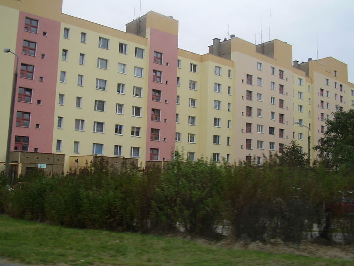 Dobrzec district