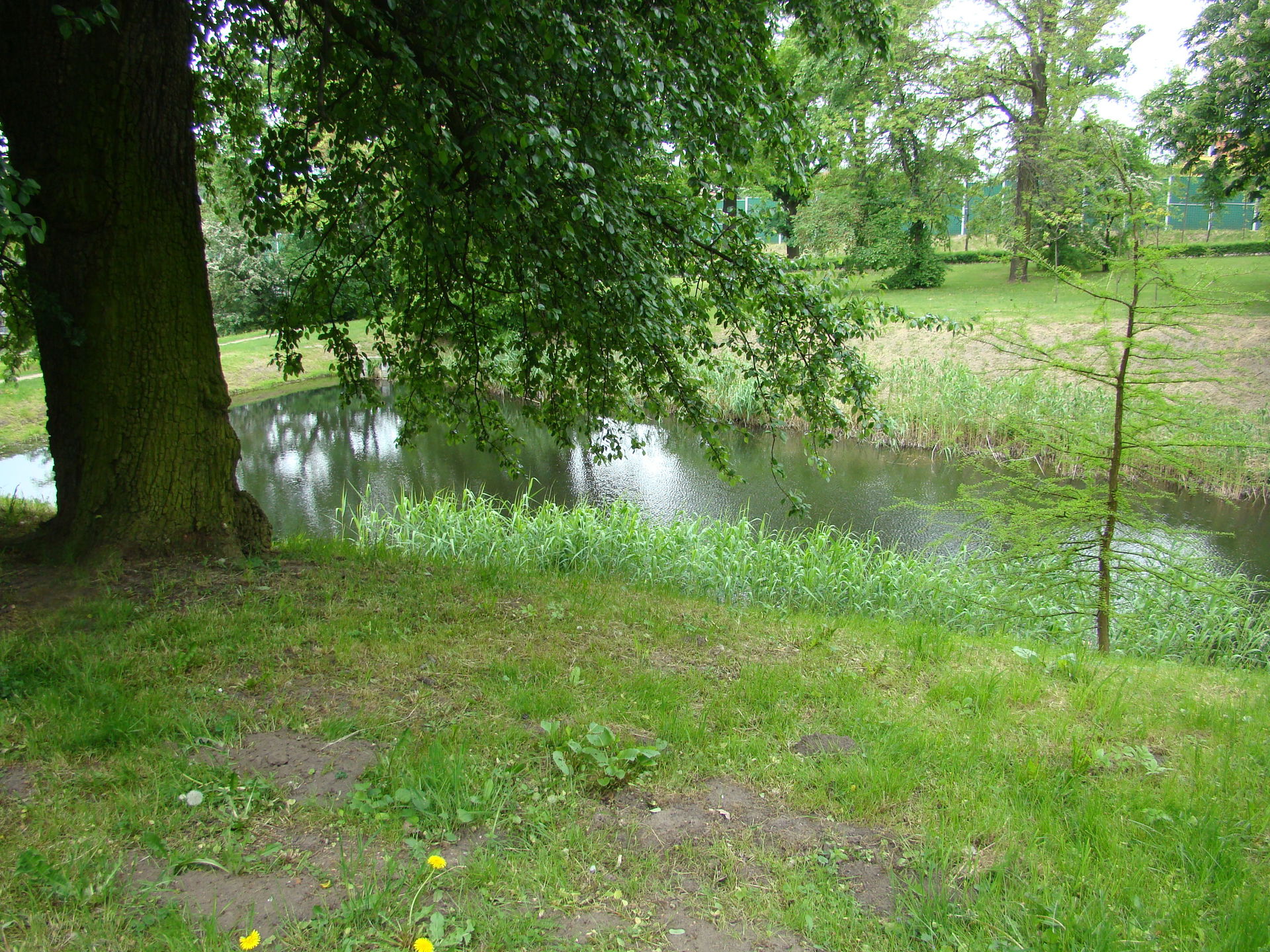 MAJKÓW 10