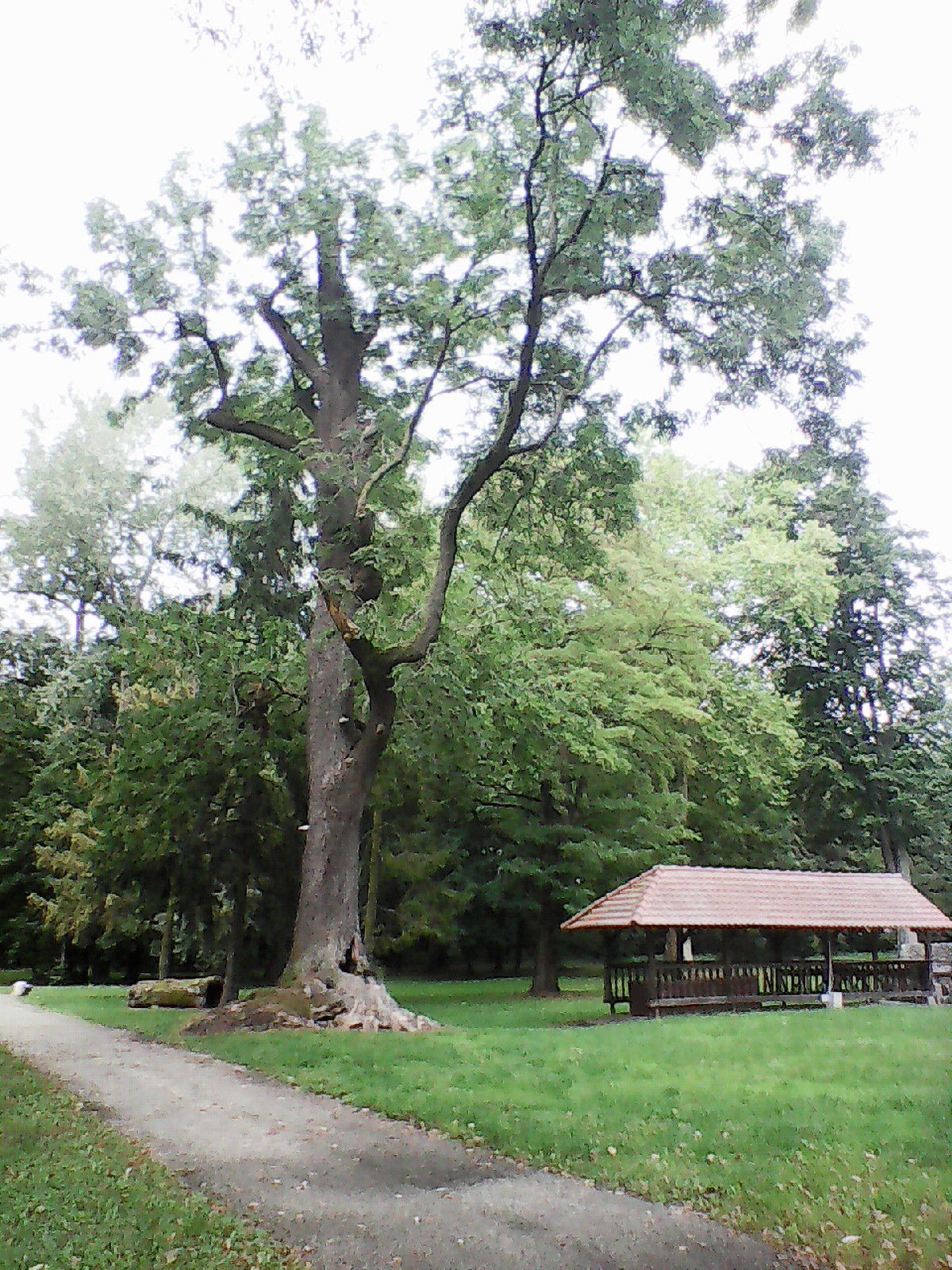 Rokosowo view 5