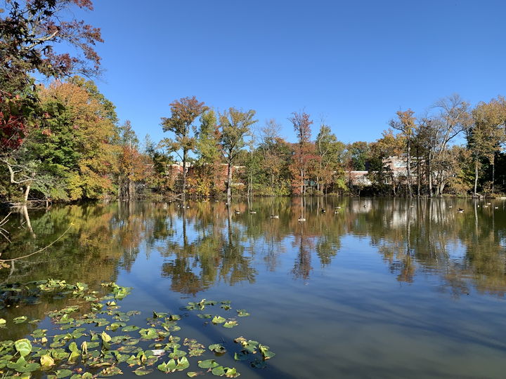 Oak Tree district