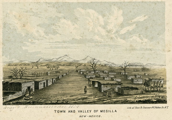 Mesilla Valley district