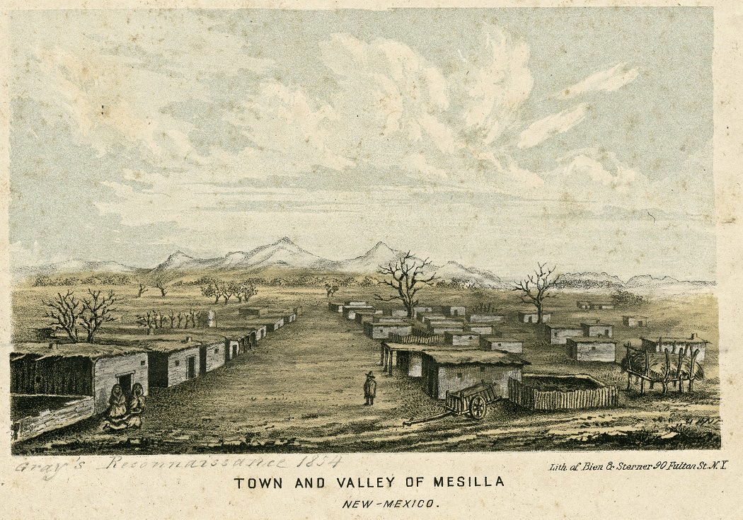 Mesilla Valley view 5