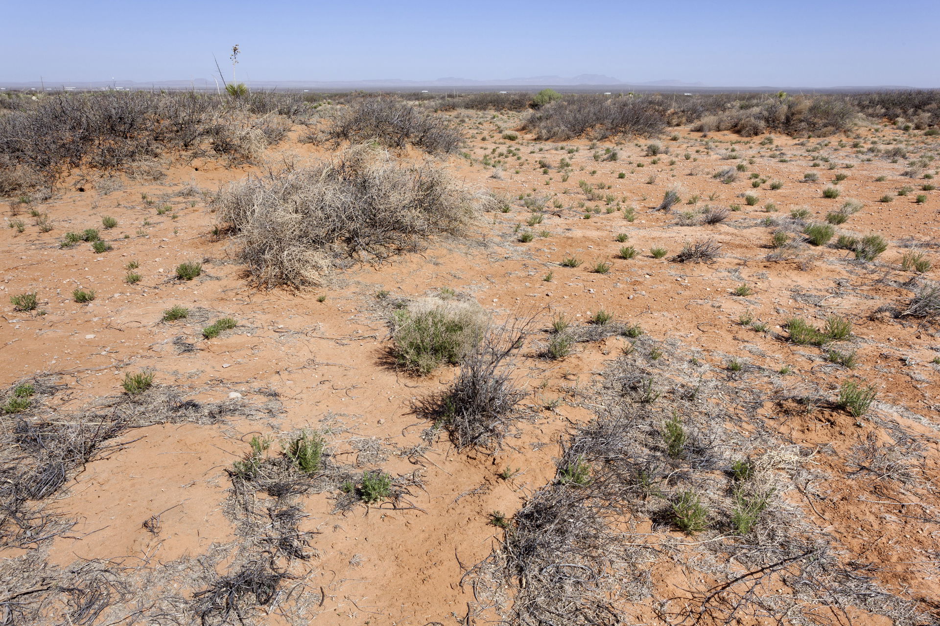 North of the Aden Hills, east-northeast of Daley Lake and north…