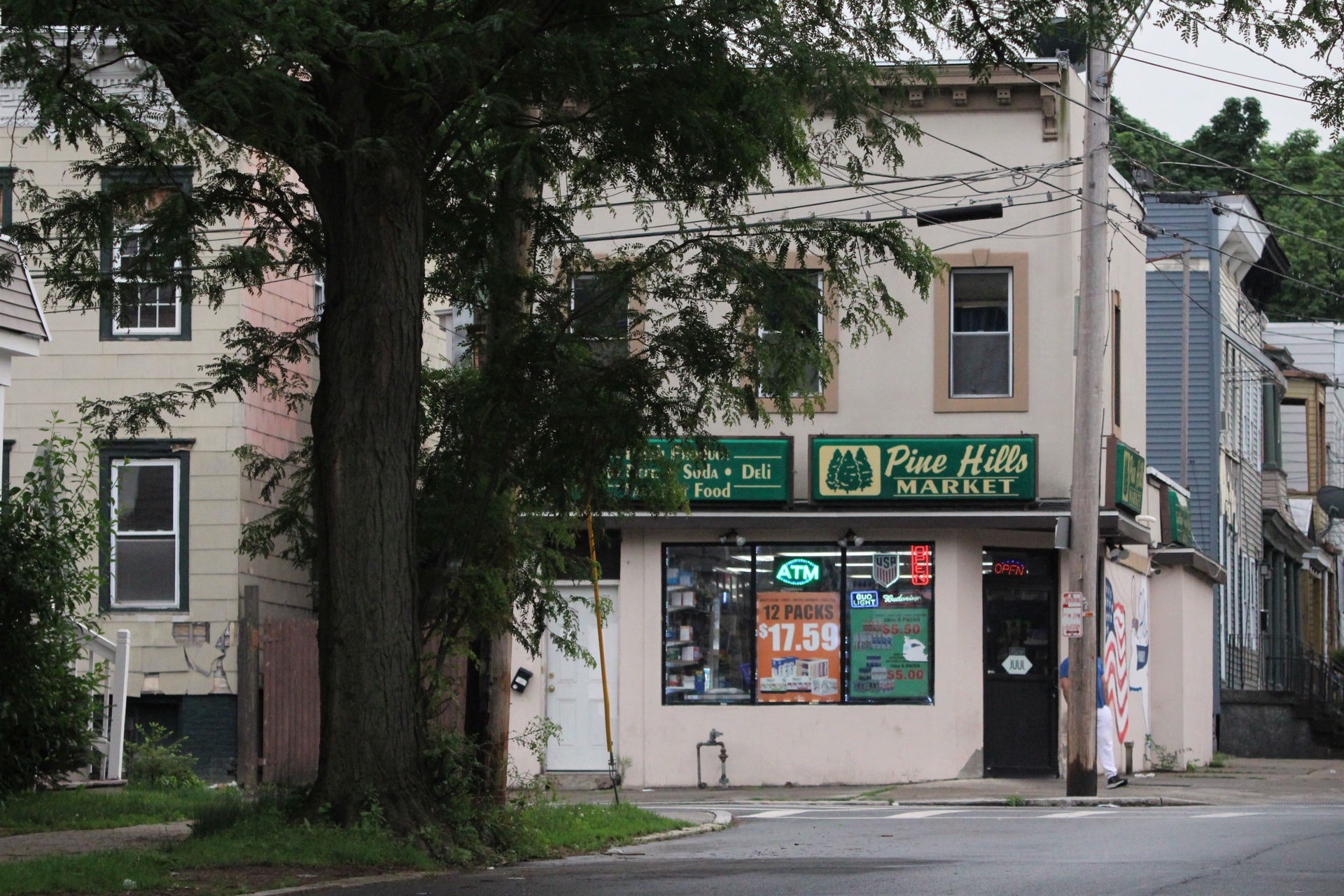 Pine Hills view 2