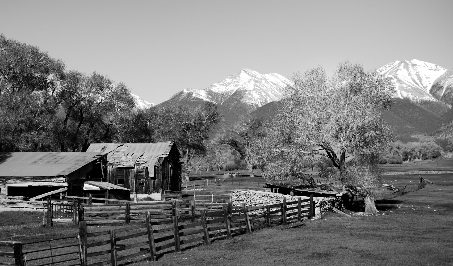Buena Vista view 4