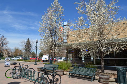 Downtown Greeley view 2