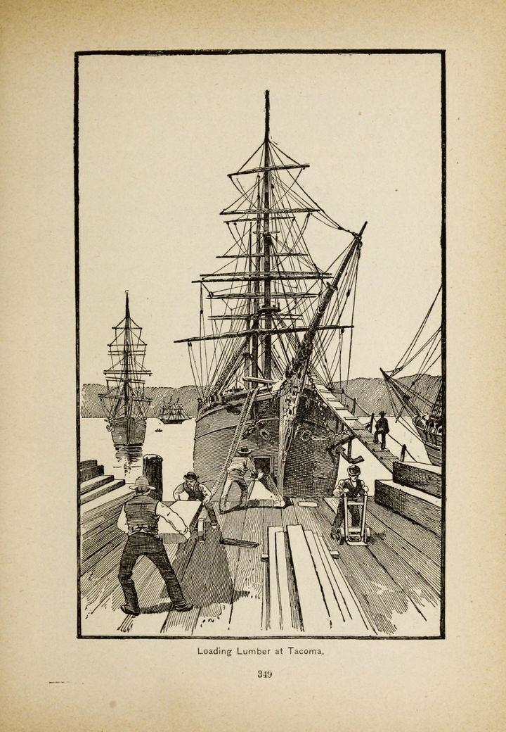 Newcastle district