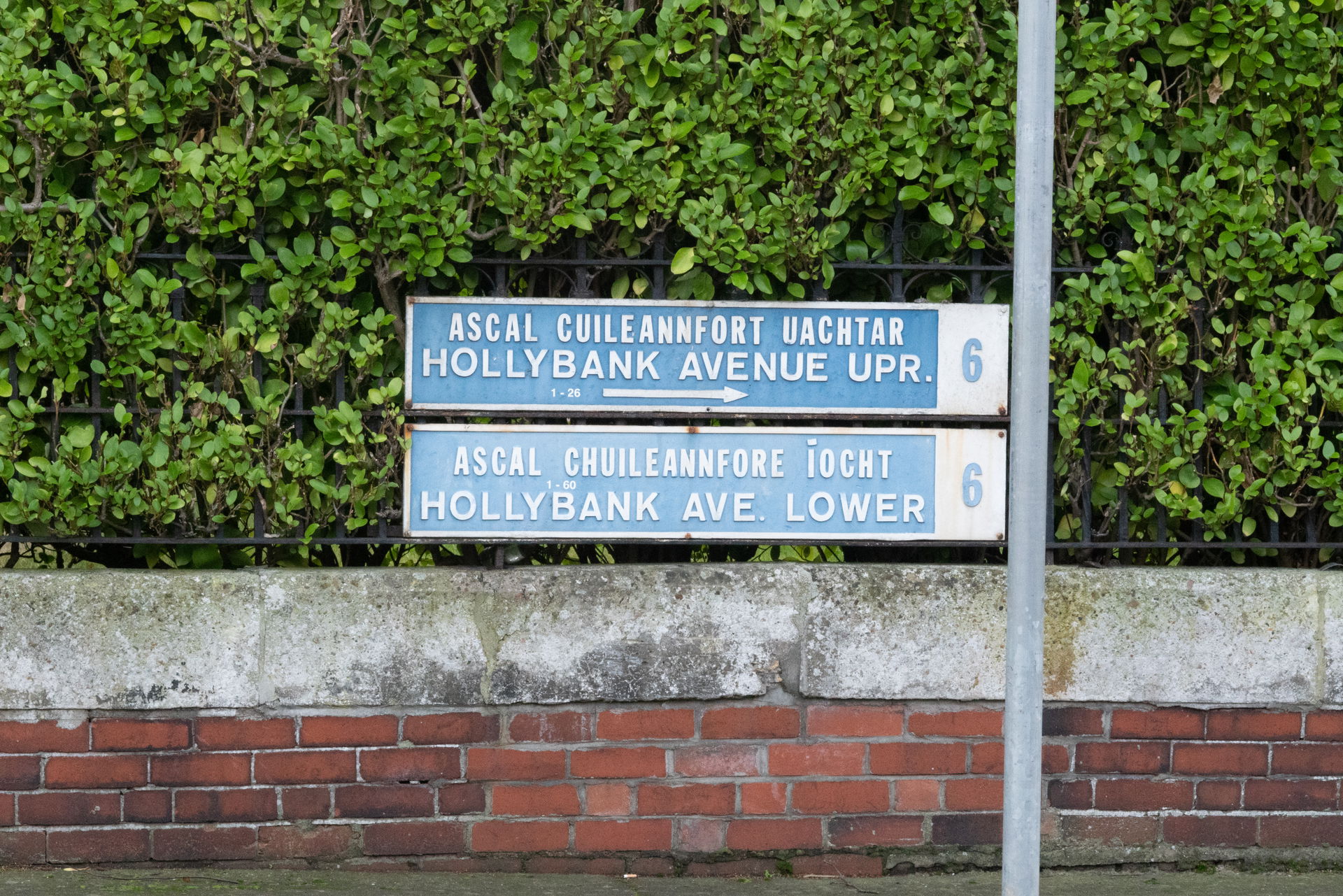 Street signs in Ranelagh, Dublin D06