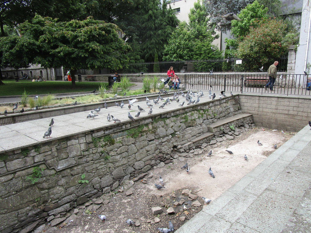 Cork City view 5