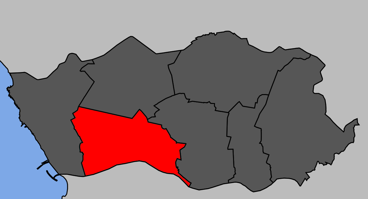 Lordelo do Ouro e Massarelos district