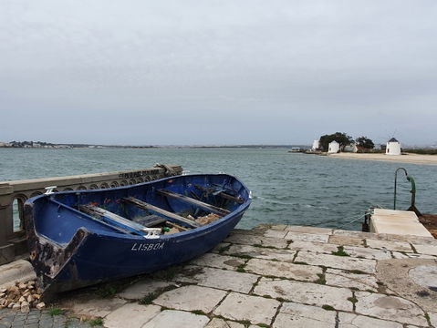 Barreiro view 1