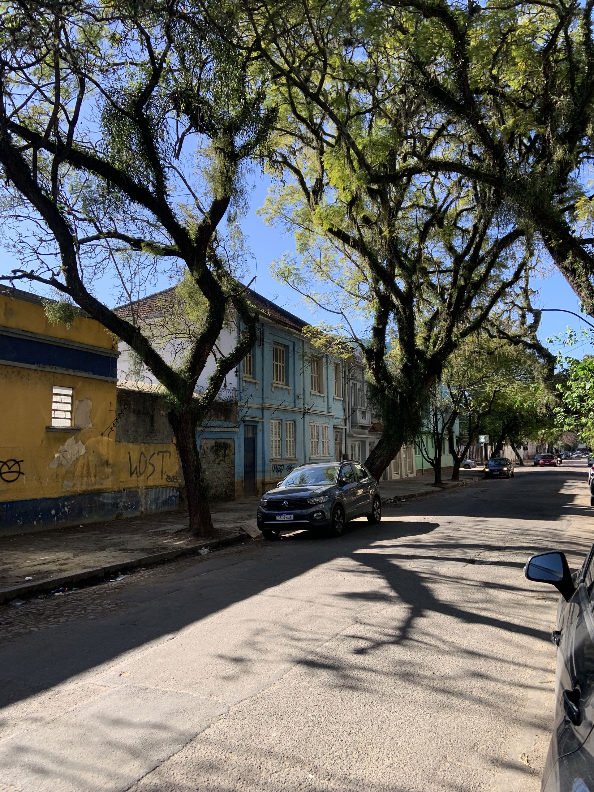 Floresta view 1