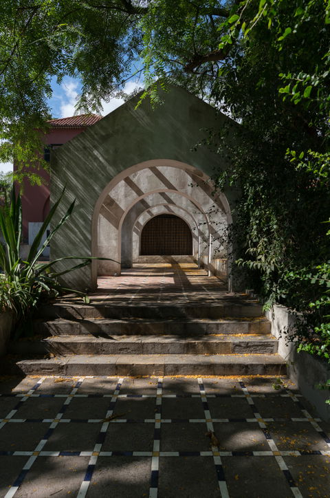 Jardim Botânico view 2