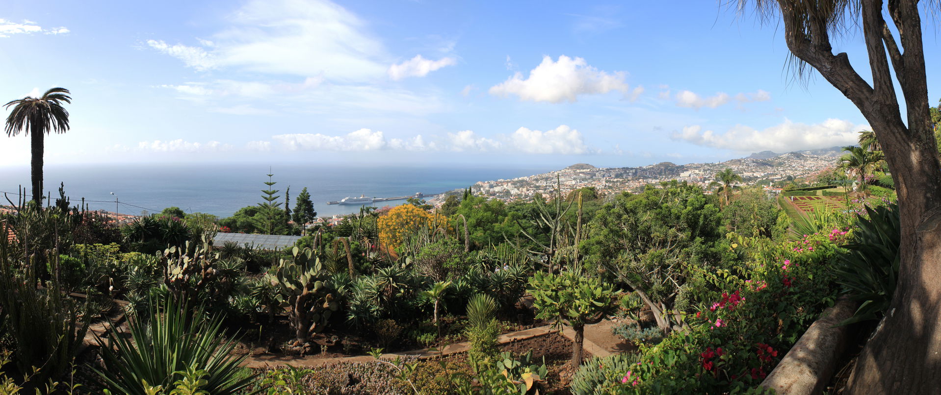 Jardim Botânico view 5