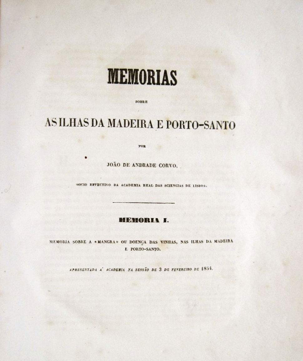 Secretaria Regional III view 3