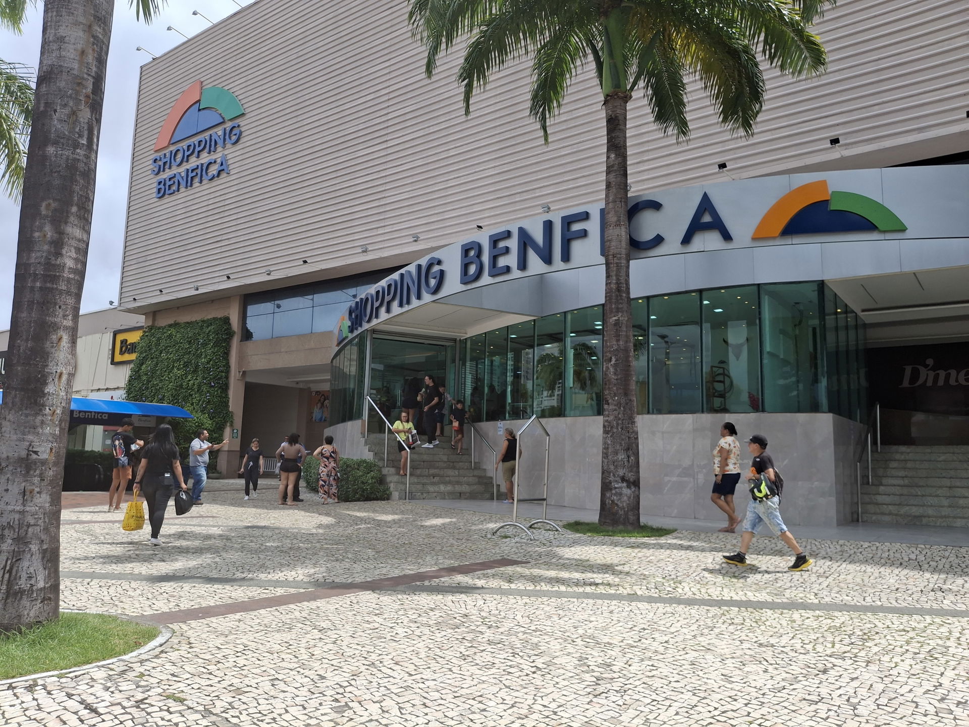 Benfica view 2