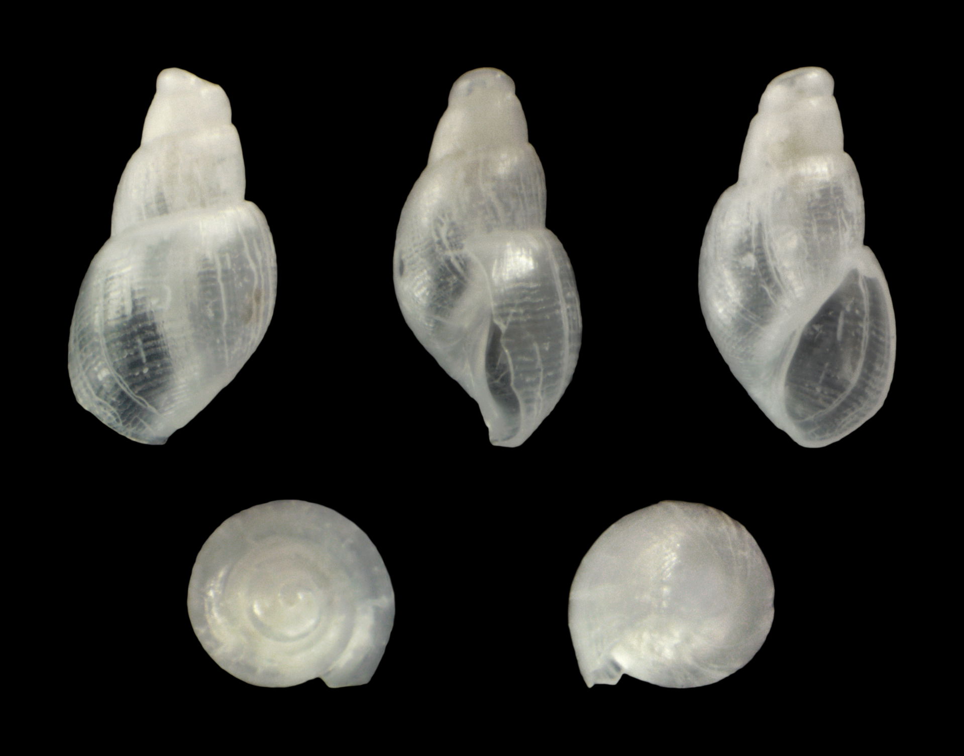 Ondina view 2