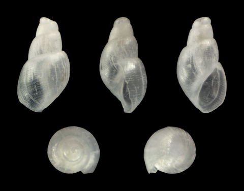 Ondina view 2