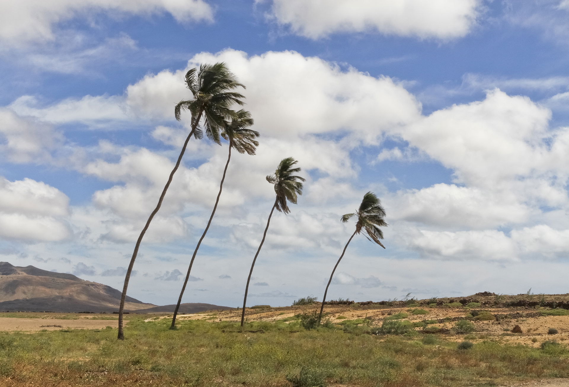 Boa Vista view 2