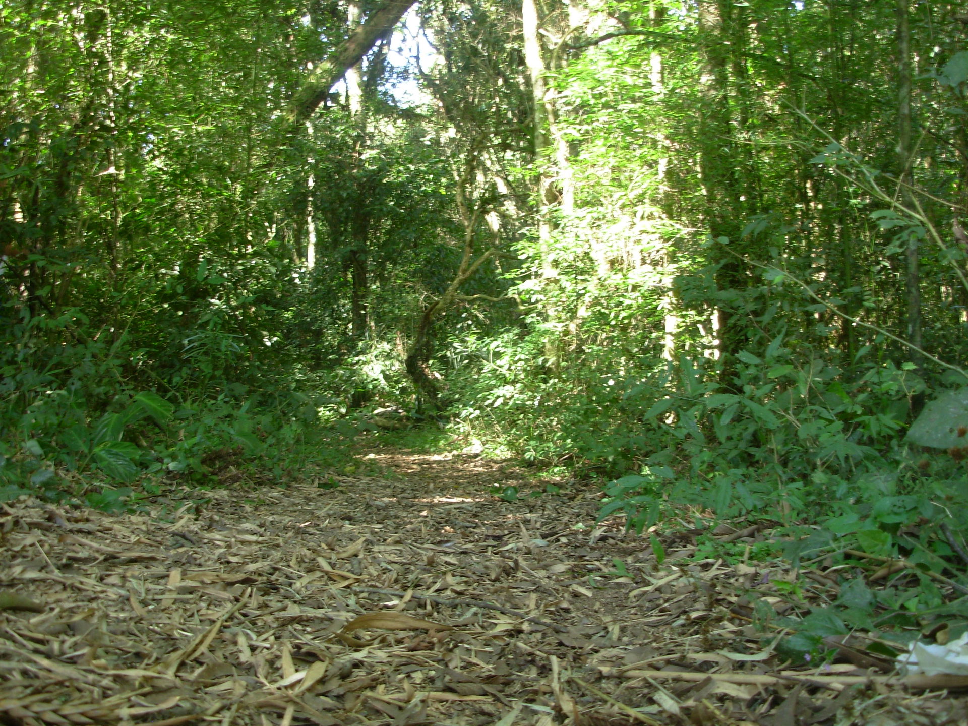 Portão view 5