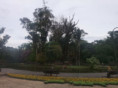 Portão view 3