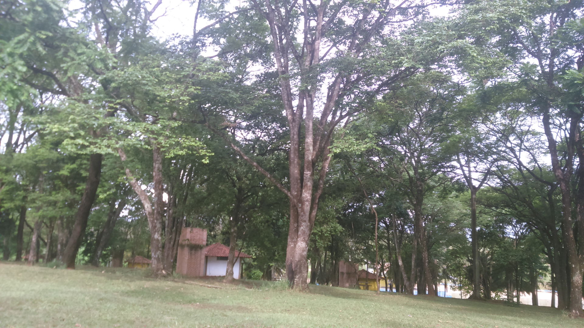 Pinheirinho view 4
