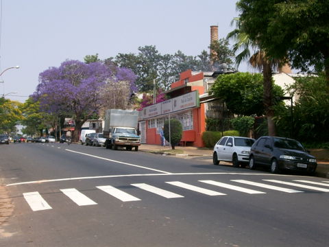 Taquaral view 3
