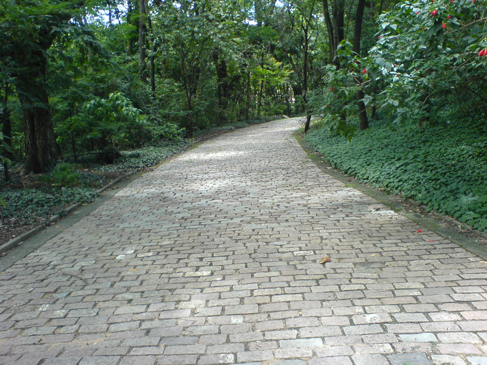 Taquaral view 1