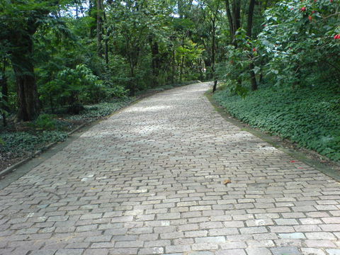 Taquaral view 1