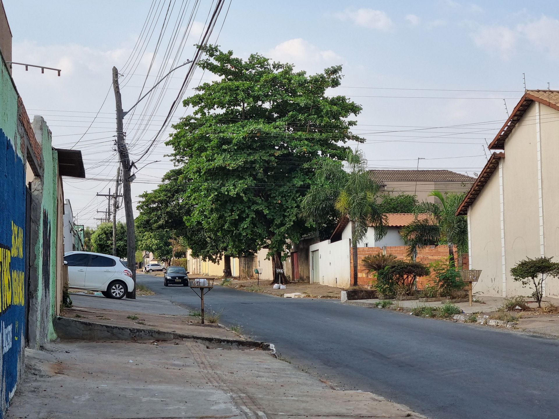 Jardim das Paineiras view 4