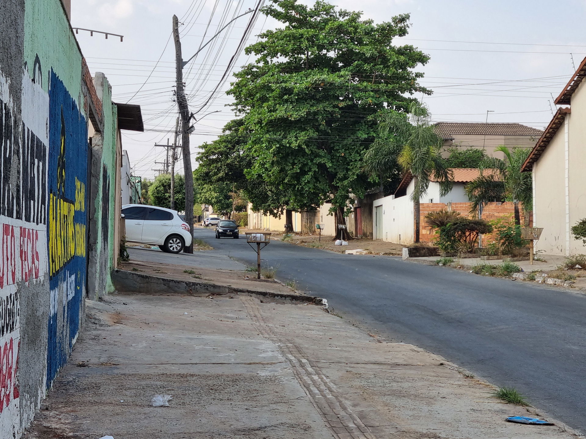 Jardim das Paineiras view 1