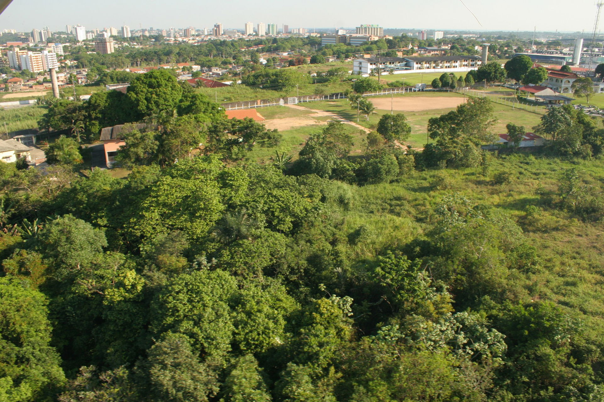 Flores view 1