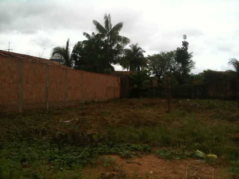 Cidade Nova view 1
