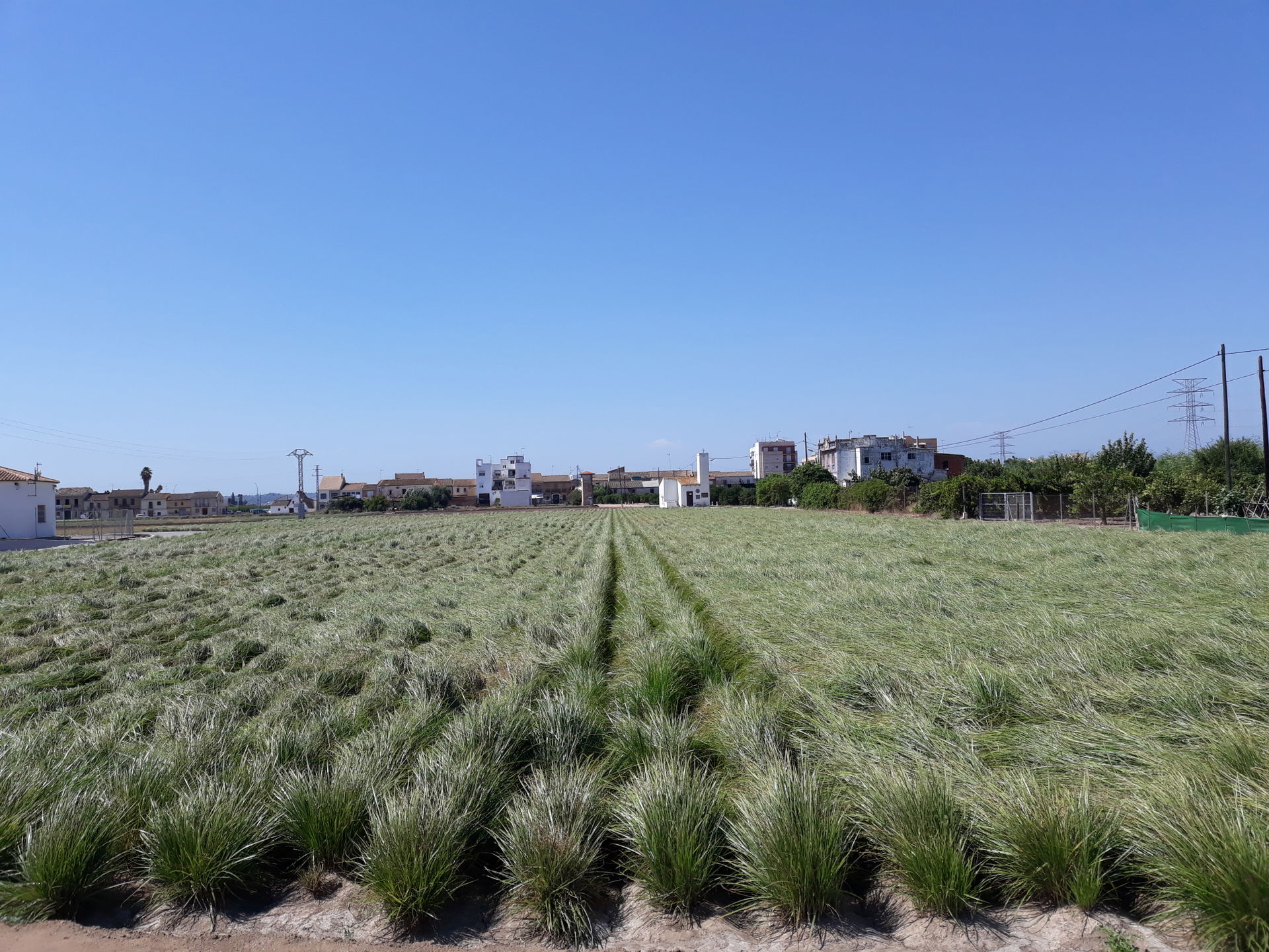 Poblats del Nord view 4