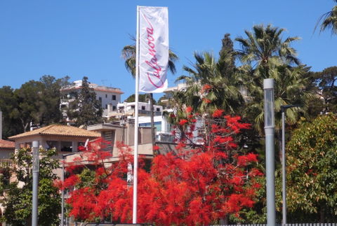 Ponent view 1
