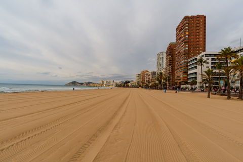Llevant view 2