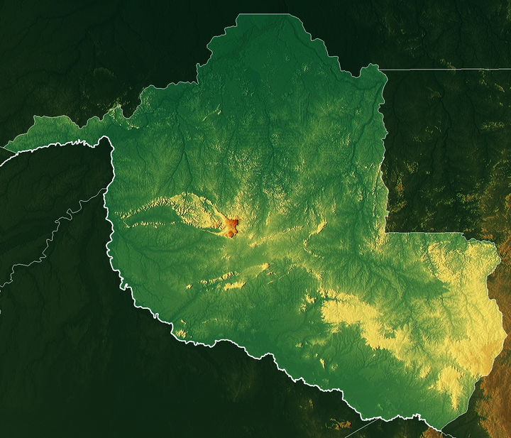 Rondônia district