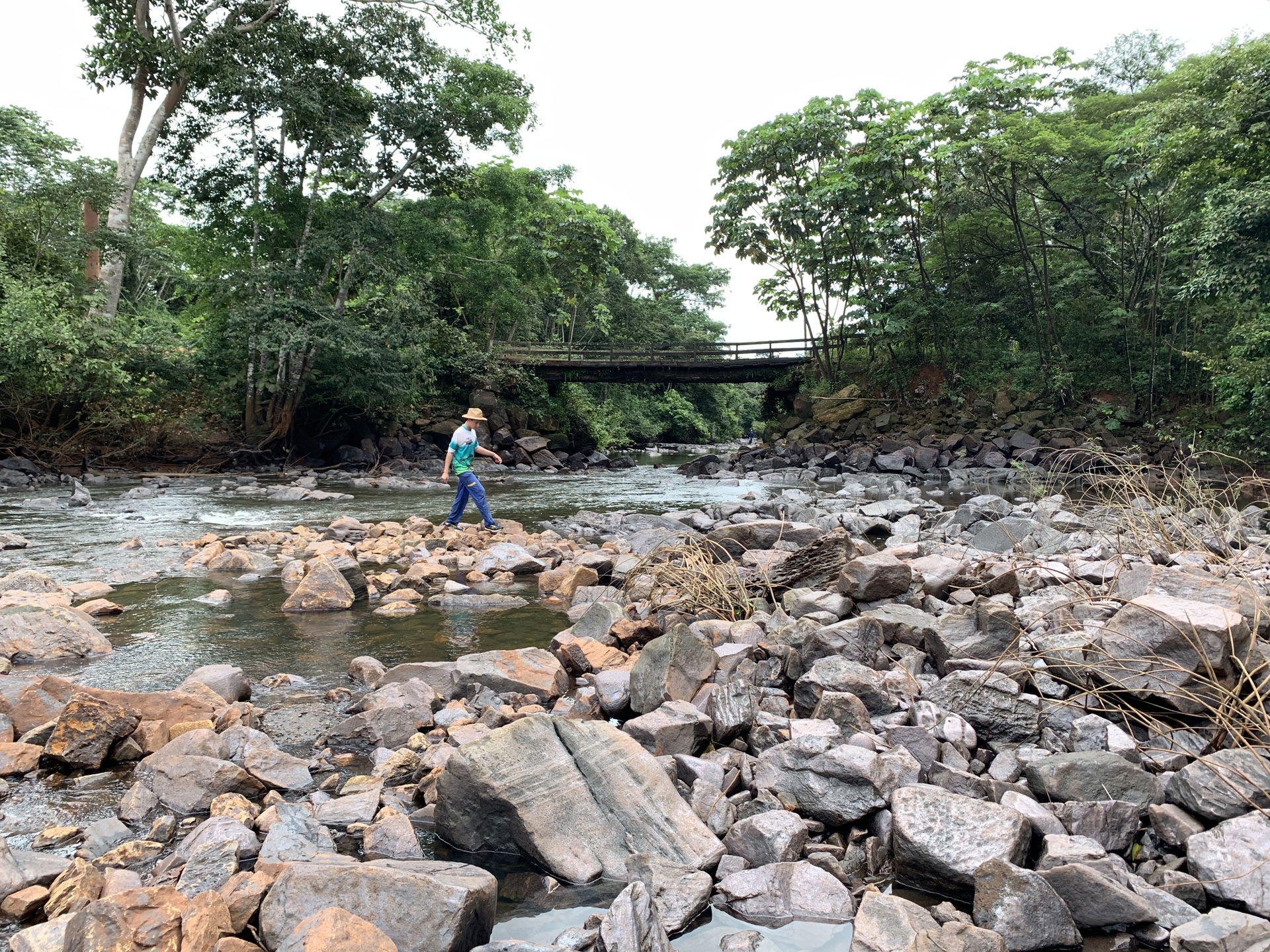 Rondônia view 4