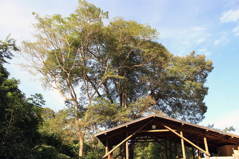 Prosa view 2