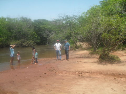Anhanduizinho view 1