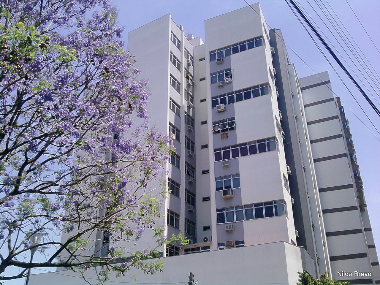 Centro district