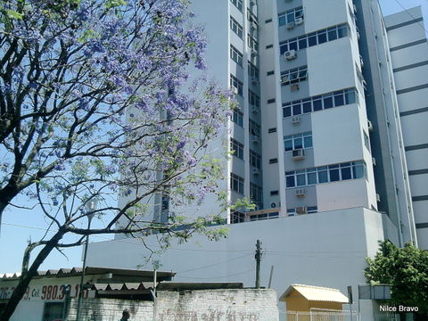 Centro view 1