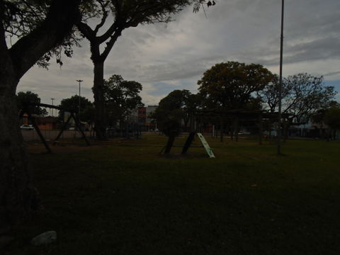 Rio Branco view 2