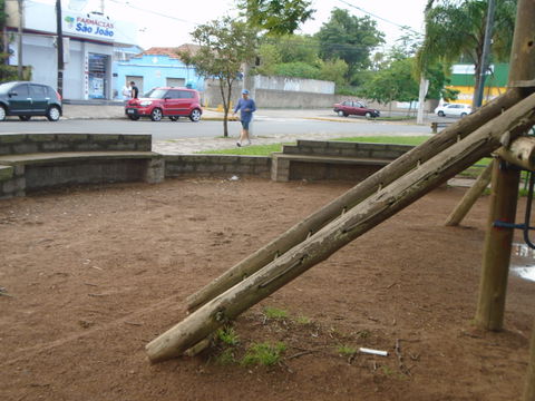 Rio Branco view 1
