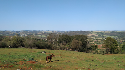 Zona Sul view 1