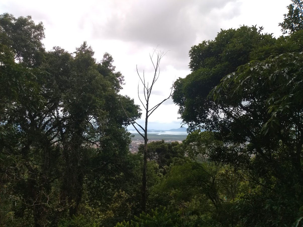 Joinville view 2