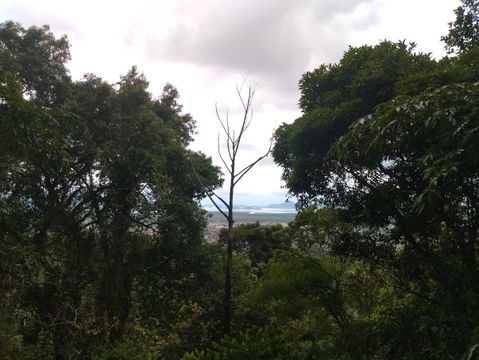 Joinville view 2