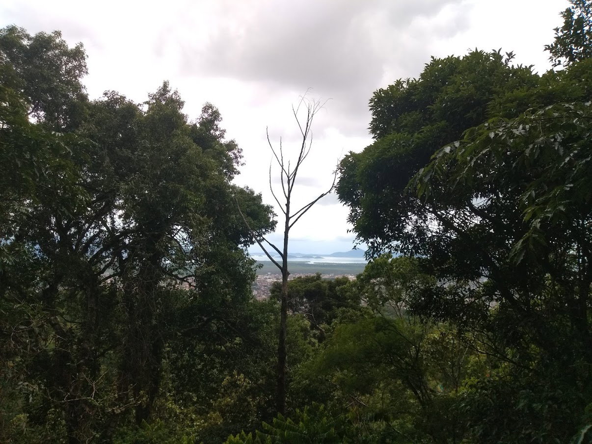 Joinville district