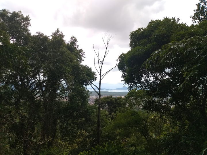 Joinville district