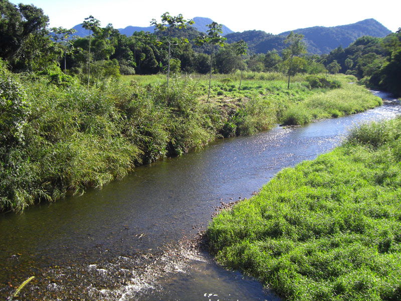 Rio na região do Piraí (River on the Piraí's place)
